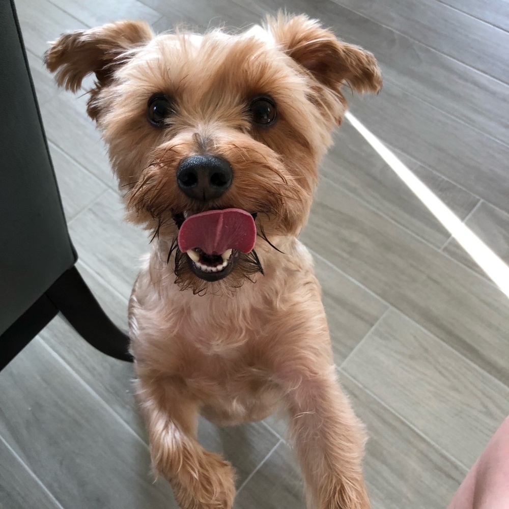 Meet your Posher, Charissa